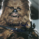 Illustration for article titled Chewbacca actor almost starred in a Bigfoot movie
